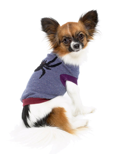 Cashmere Dog Sweaters