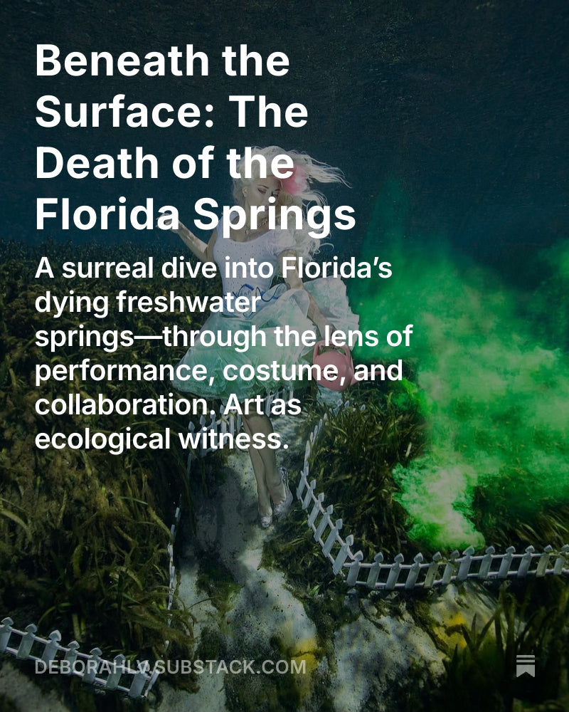 Beneath the Surface: The Death of the Florida Springs