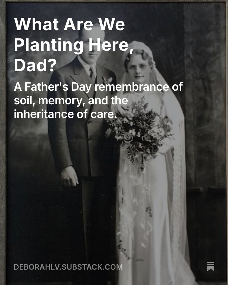 What Are We Planting Here Dad?