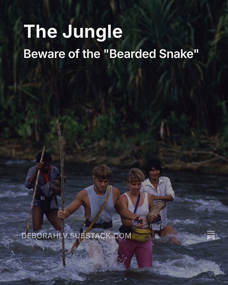 The Jungle