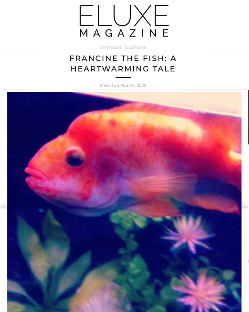 Francine the Fish Featured in Eluxe Magazine: A Heartwarming Tale of Rescue