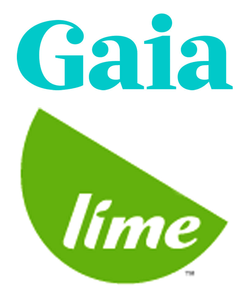 Deborah Lindquist on Lime TV discussing eco-fashion and sustainability.